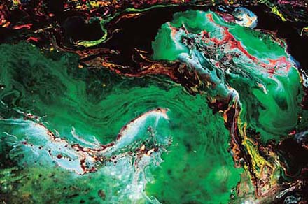 H.H.第三世多杰羌佛藝術西畫欣賞 － 天堂寶物正飛旋