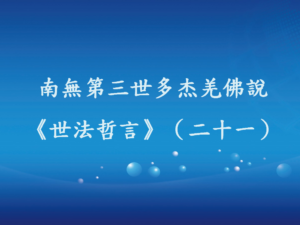 南無第三世多杰羌佛說《世法哲言》（二十一）