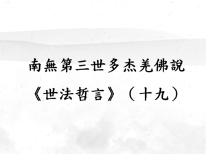 南無第三世多杰羌佛說《世法哲言》（十九）