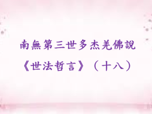 南無第三世多杰羌佛說《世法哲言》（十八）