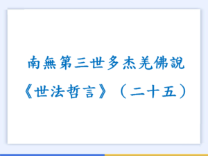 南無第三世多杰羌佛說《世法哲言》（二十五）